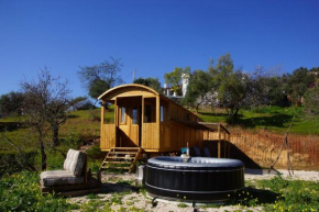 Finca la montaña roja, Almogia